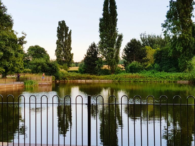 The boating pond in Brockwell Park, looking across still water to tall trees and reeds