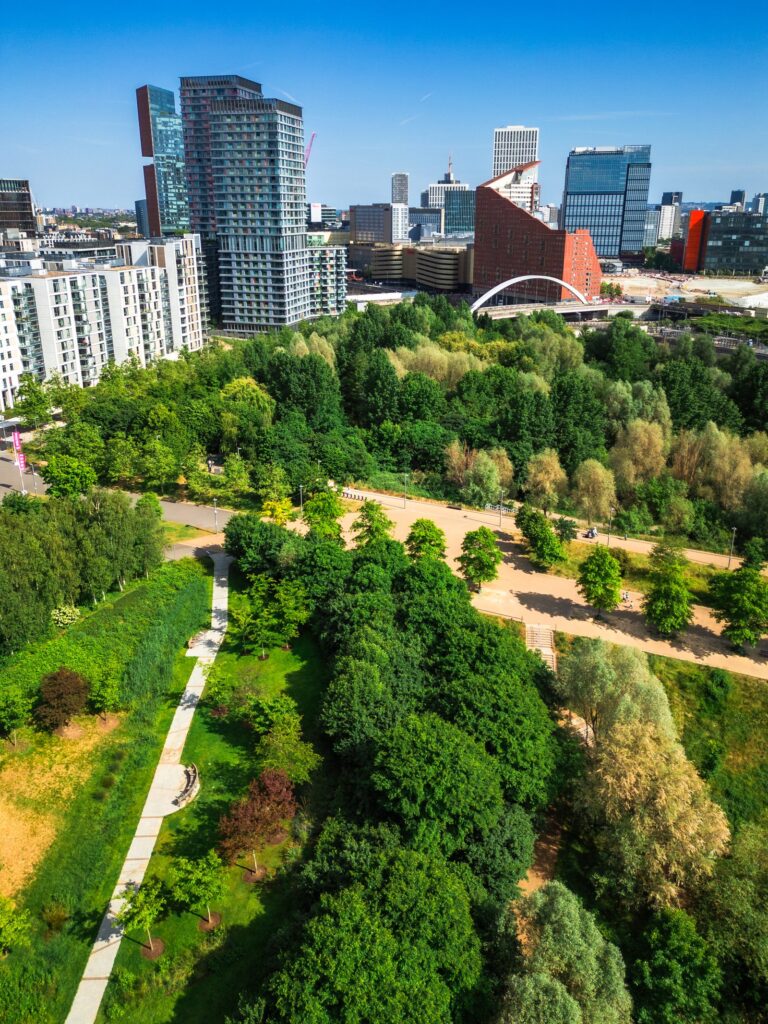 East Village's residential towers rise above the wooded paths and meadows of the northern section of Queen Elizabeth Olympic Park on a bright summer day