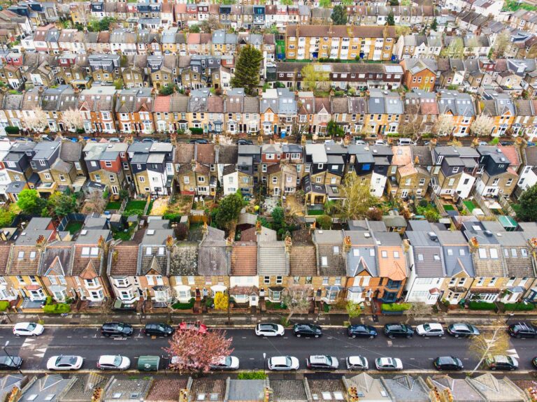 Straight-down aerial of Walthamstow's Victorian terraced streets, with long back gardens, parked cars along the kerb and a single pink cherry blossom in flower